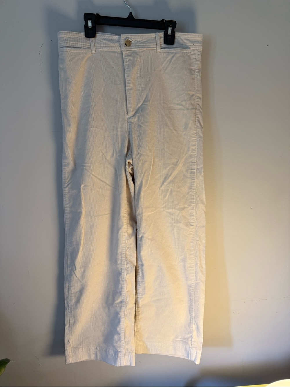 Everlane Women’s Casual Cream Straight-Leg Pants